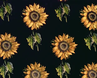 Velours au Sabre : décoration en soie de tournesols par Maison Ogier et Duplan, Lyon 1894